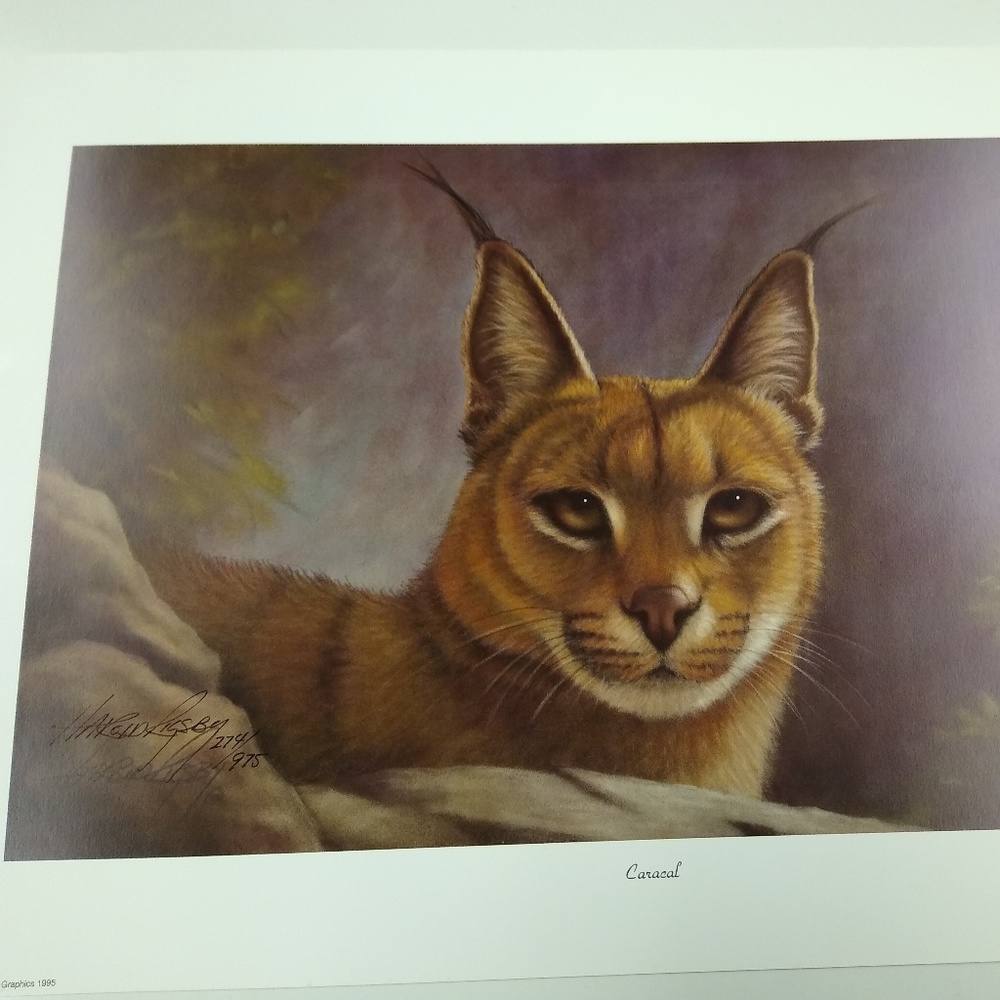 Caracal By Harold Rigsby AP 4/25 Signed